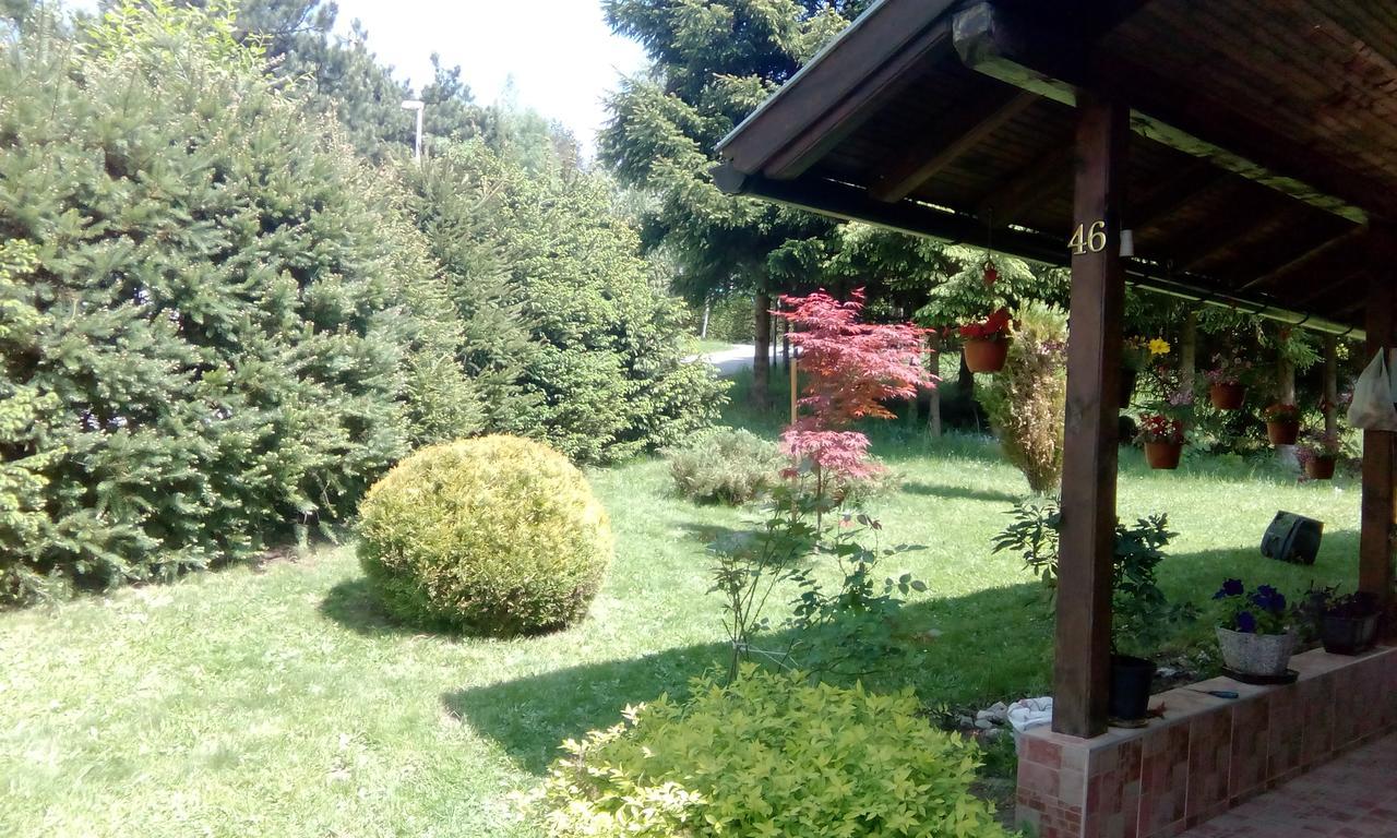 Apartmani Nais Zlatibor Dış mekan fotoğraf