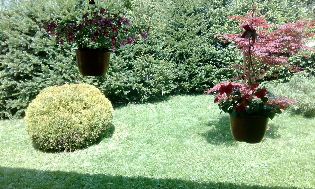 Apartmani Nais Zlatibor Dış mekan fotoğraf