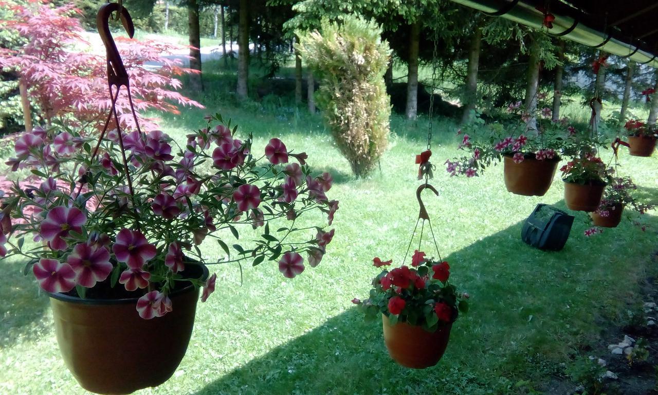 Apartmani Nais Zlatibor Dış mekan fotoğraf